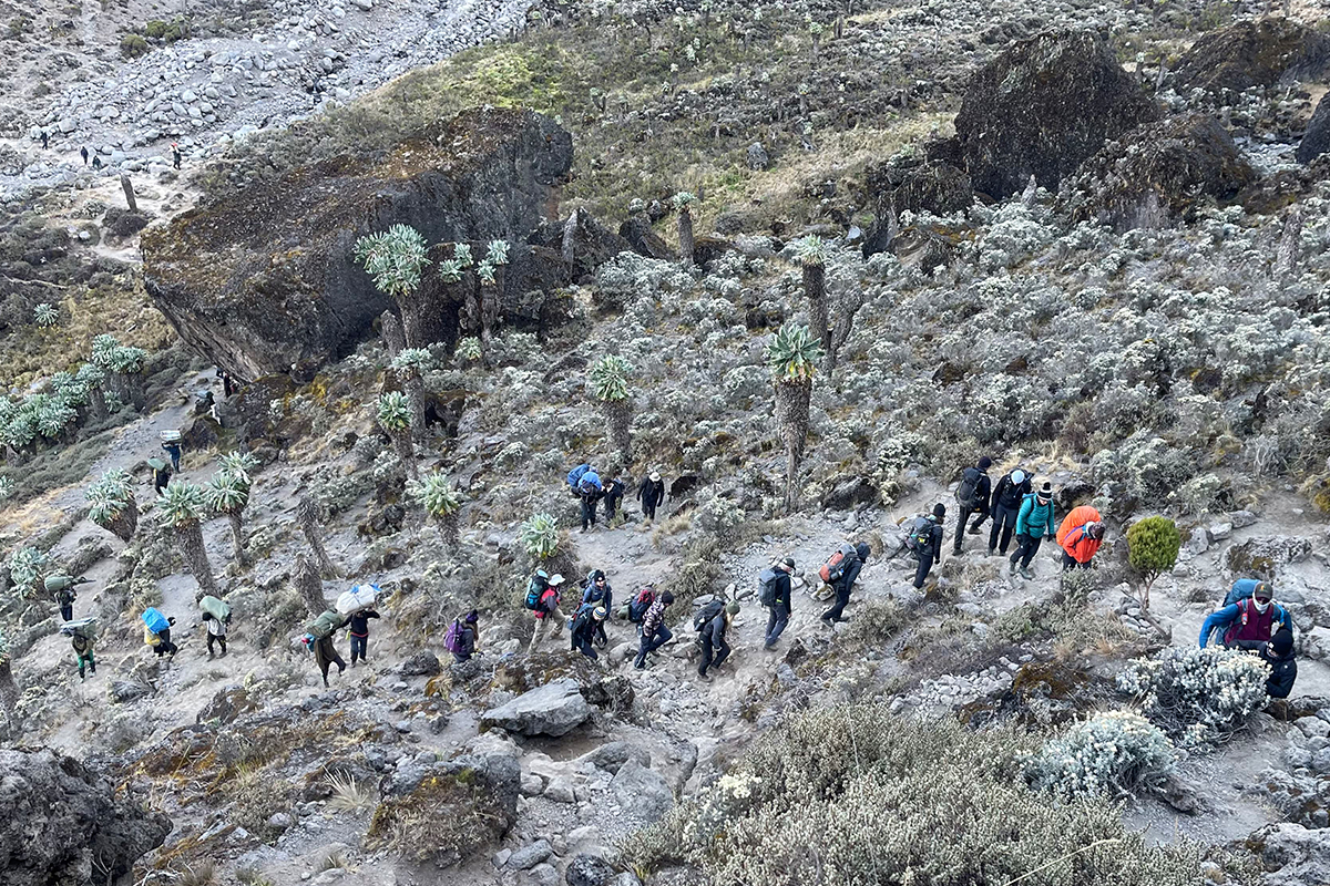 Crowd during Kilimanjaro Climbing